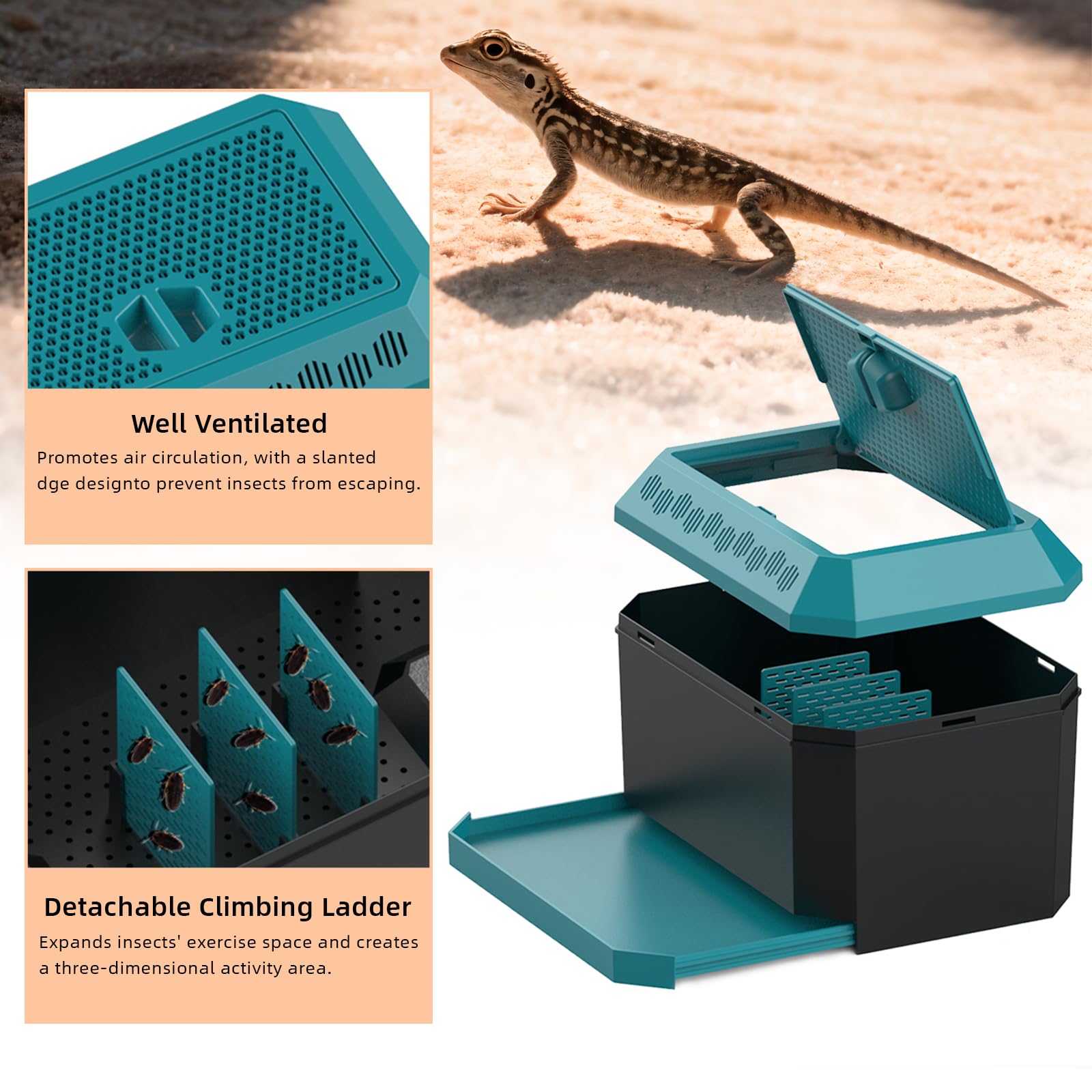 XIGETRAIL habitat pour vers de farine, espace actif en 3D.