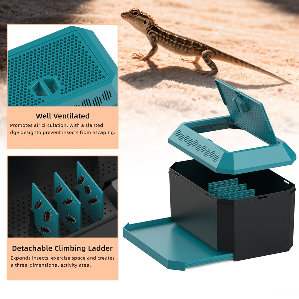XIGETRAIL habitat pour vers de farine, espace actif en 3D.