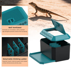XIGETRAIL habitat pour vers de farine, espace actif en 3D.