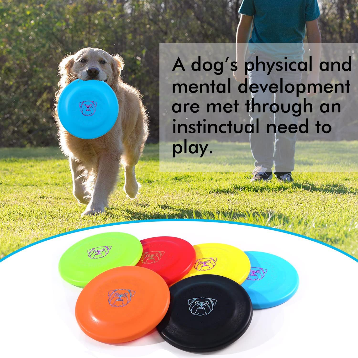 Pack triple XIGOU: trois disques volants légers pour chiens actifs.