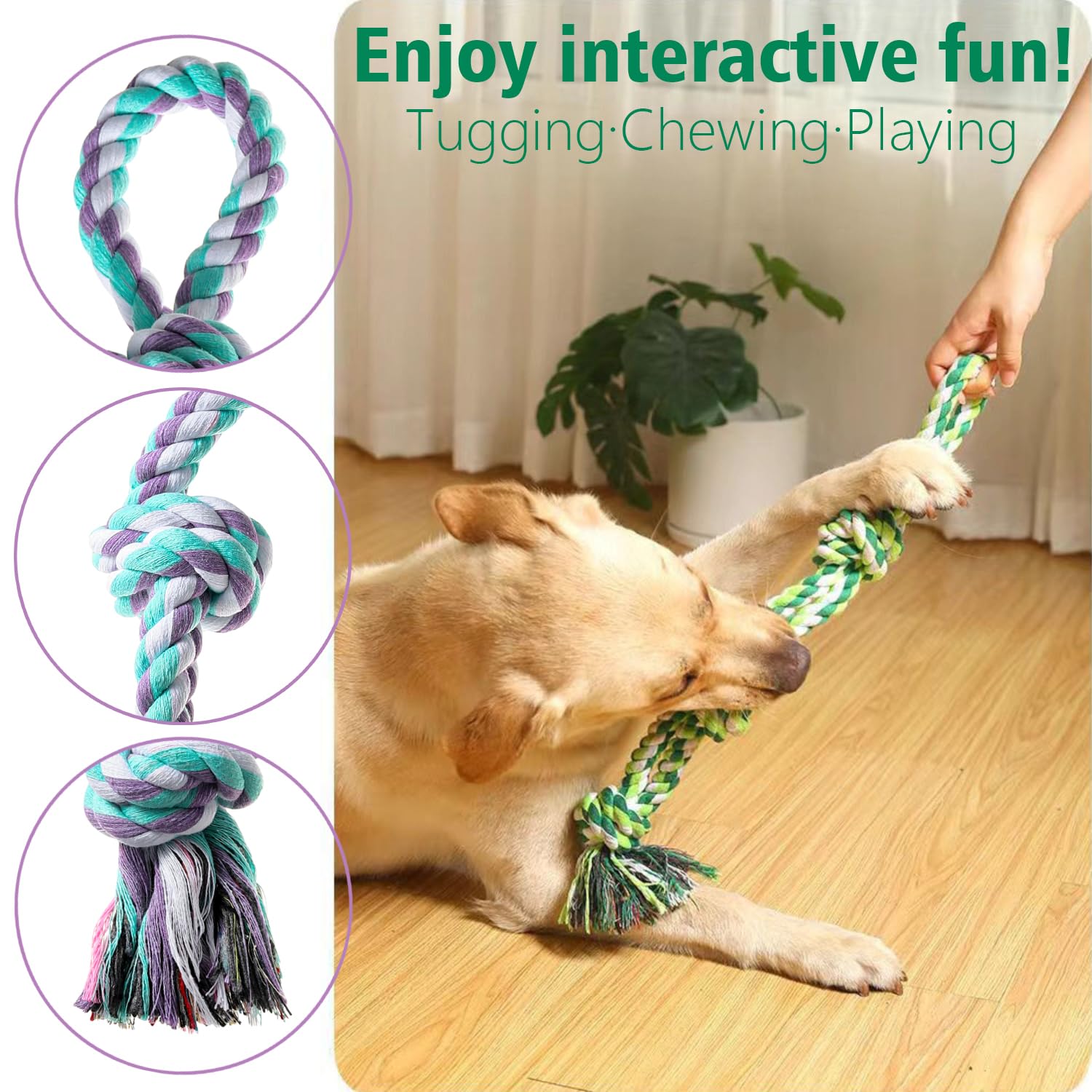 Jouet XIGOU anti-stress robuste, idéal pour chiens actifs sous supervision.