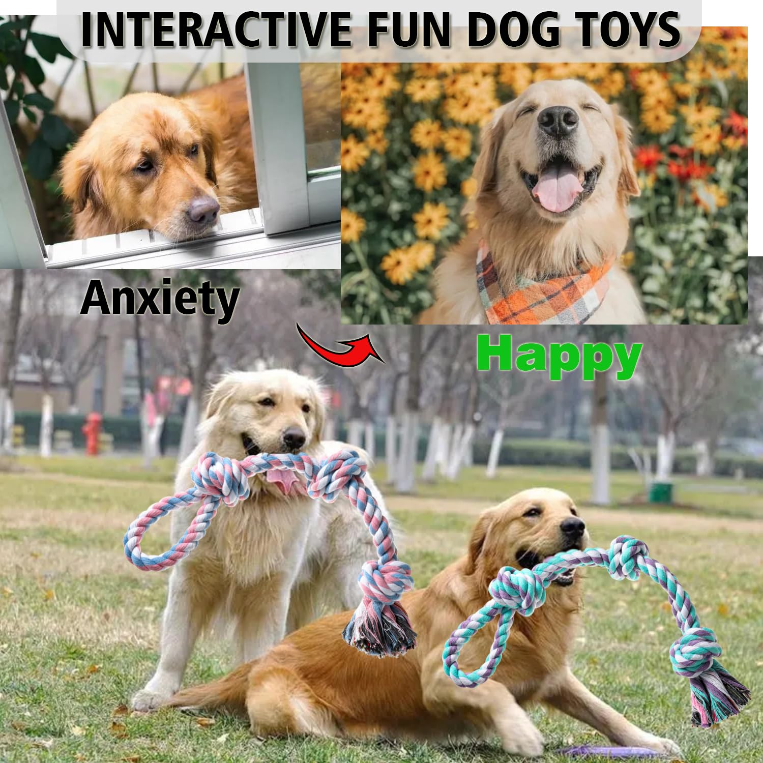 Jouet XIGOU libération d’énergie pour chien, activité physique et concentration.