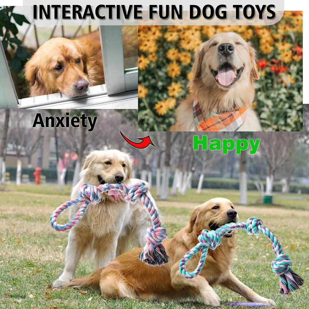 Jouet XIGOU libération d’énergie pour chien, activité physique et concentration.