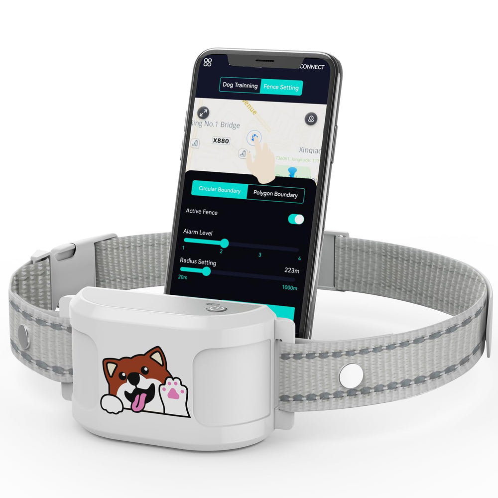 Collier GPS XIMUSON avec bordure électronique sans abonnement pour chiens.