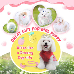 XIUGOAL jouets corde rose pour chiot favorisant le tir et la récupération