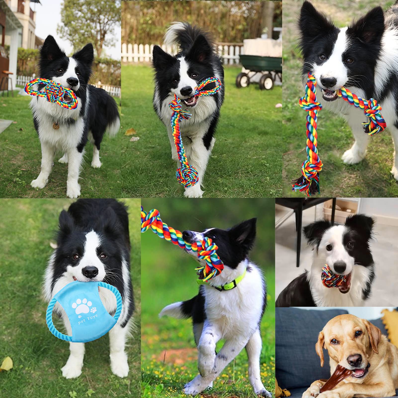 Cadeau de Noël XLMYS pour chiens, divertissant et utile.