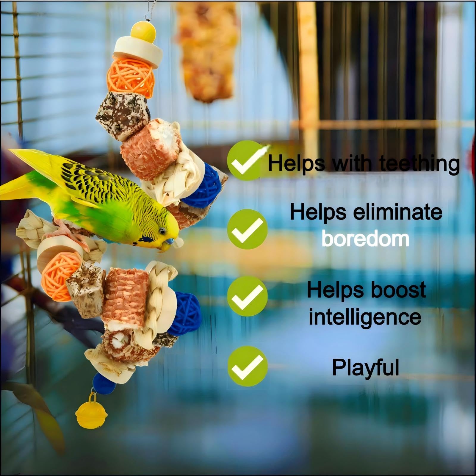 XLpeixin ensemble jouets cage perruche divertissement quotidien