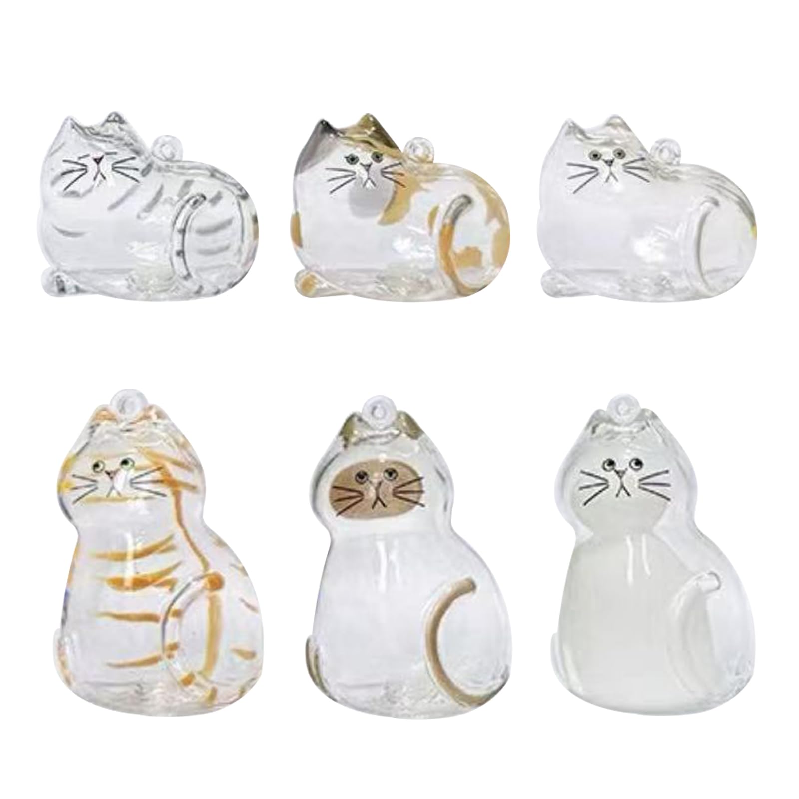 Coffret cadeau Xoprmey pour collection de poils d’animaux.