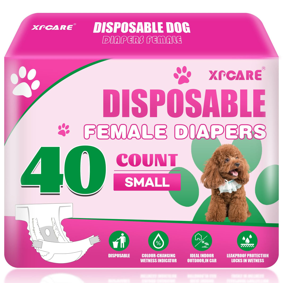 XPCARE couches jetables pour chienne femelle; absorption rapide pour le confort quotidien.