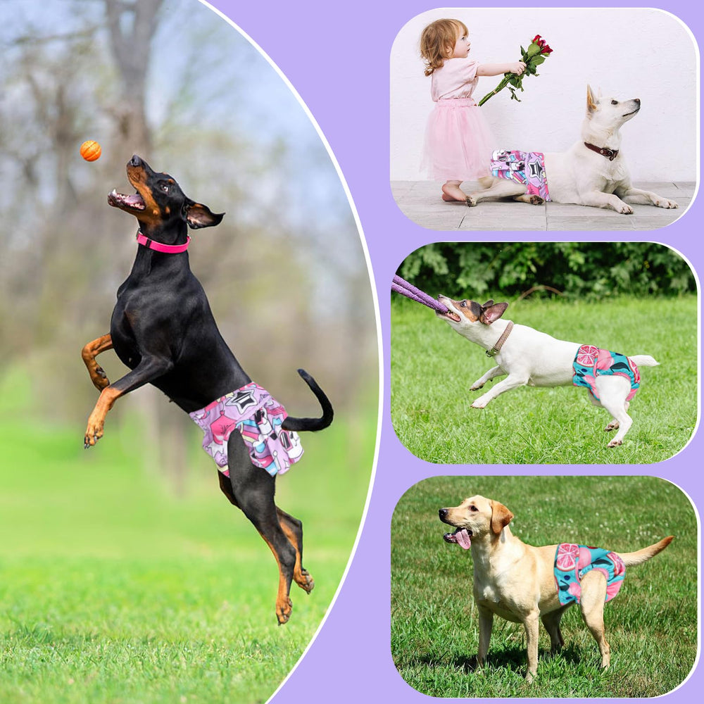 XPCARE Couches-chienne: lot de 4 taille M pour un ajustement optimal