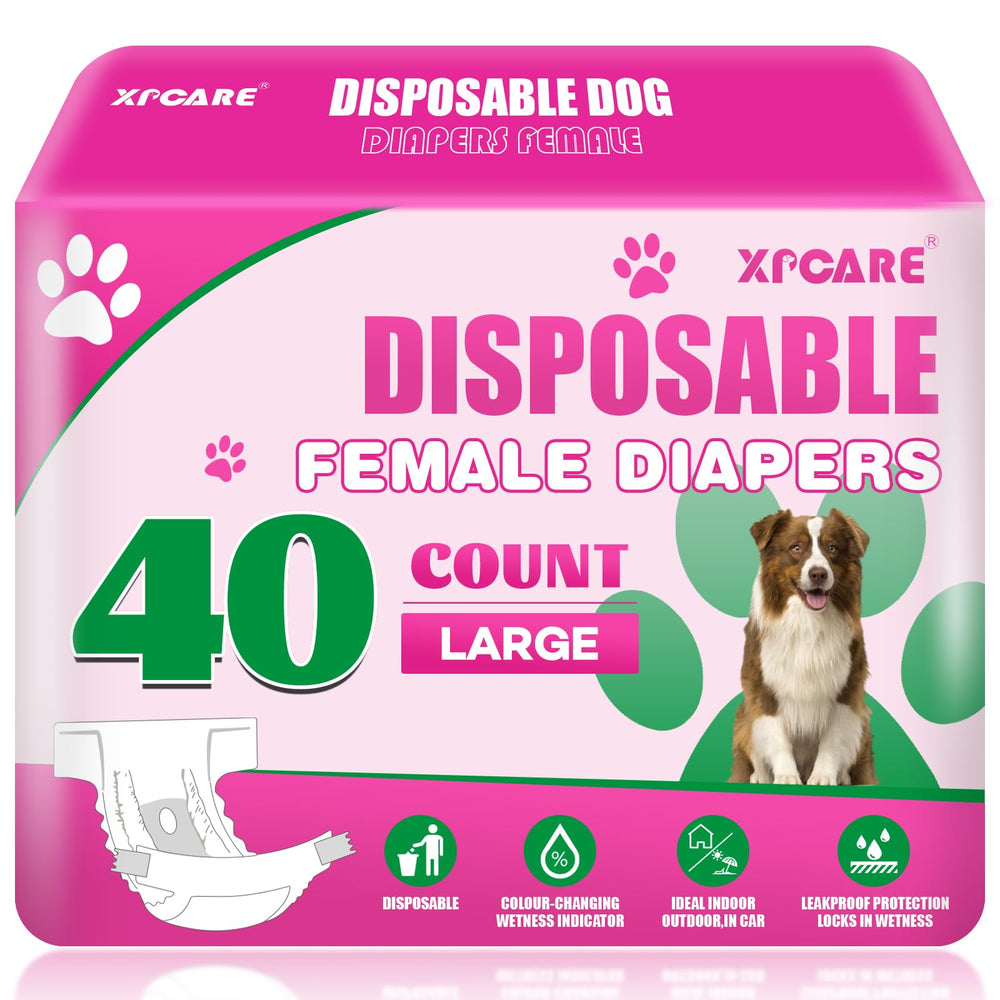 XPCARE couches jetables pour chien femelle, absorption rapide et propreté durable.