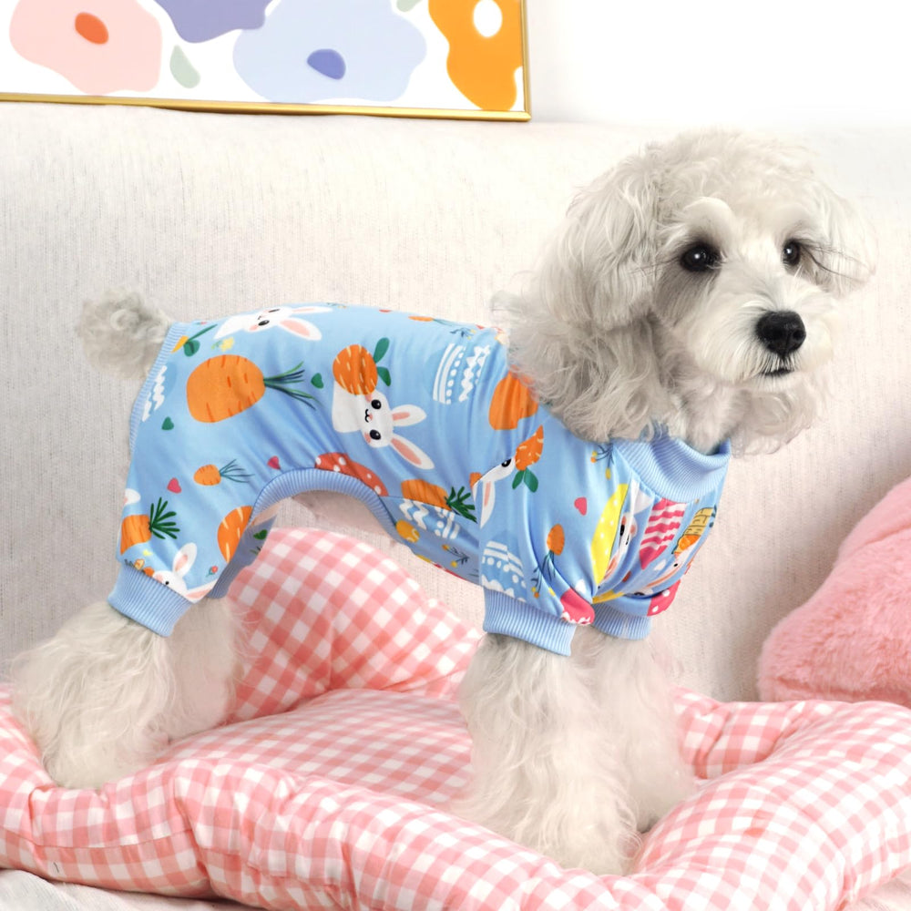 XPUDAC pyjama chat Pâques œufs motif, confort doux.