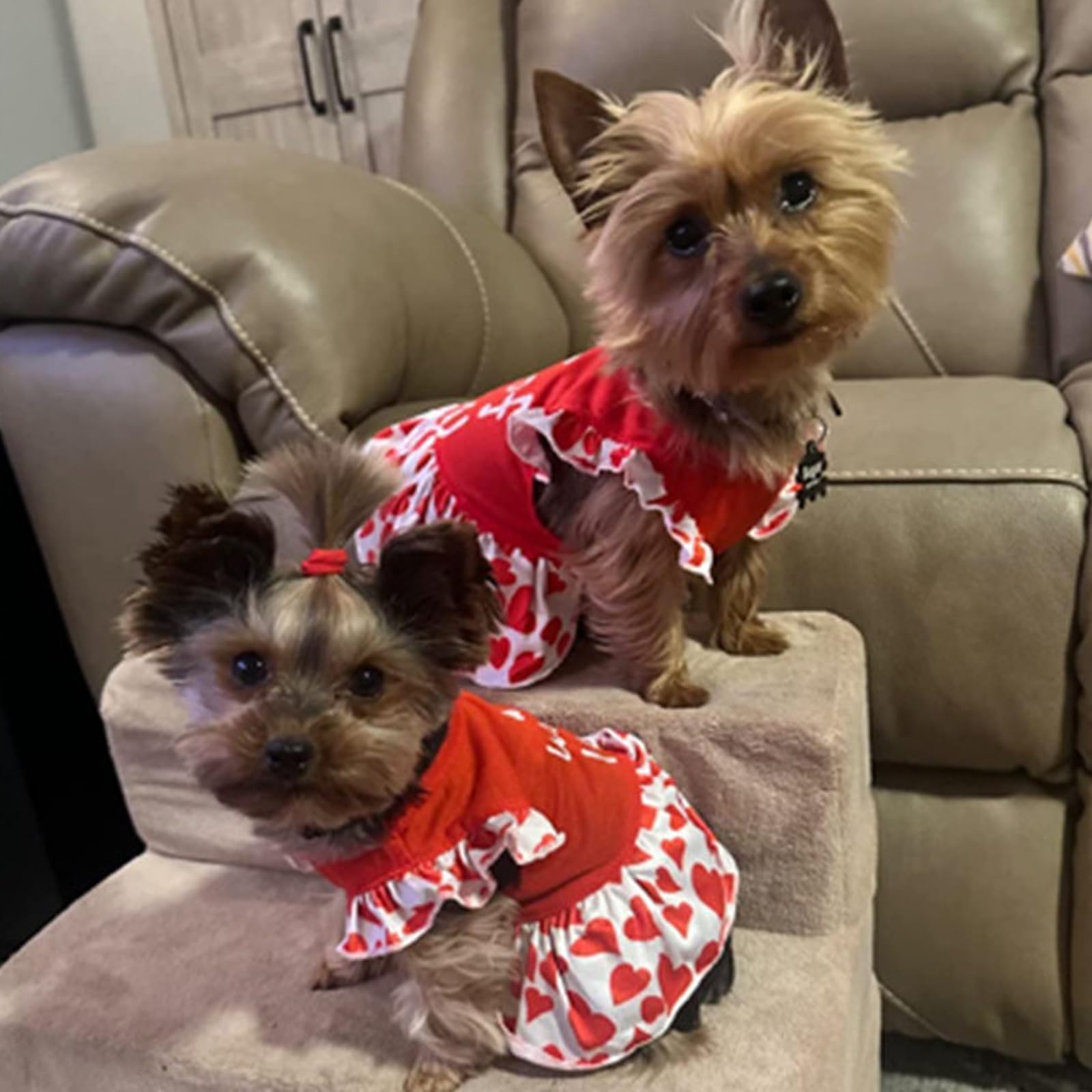 XPUDAC robe-chien femelle fleurs rose, présente pour occasions joyeuses.