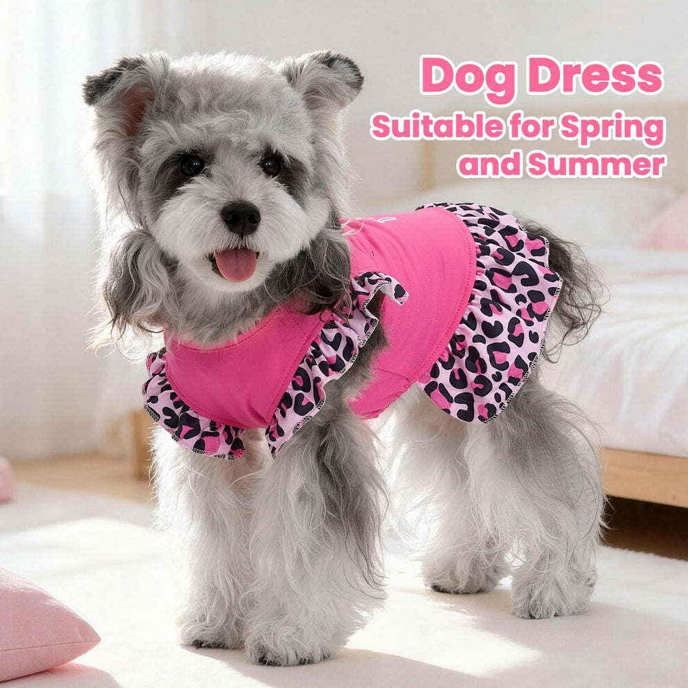 XPUDAC robe chien petit cadeau idéal, parfait pour anniversaires et fêtes.