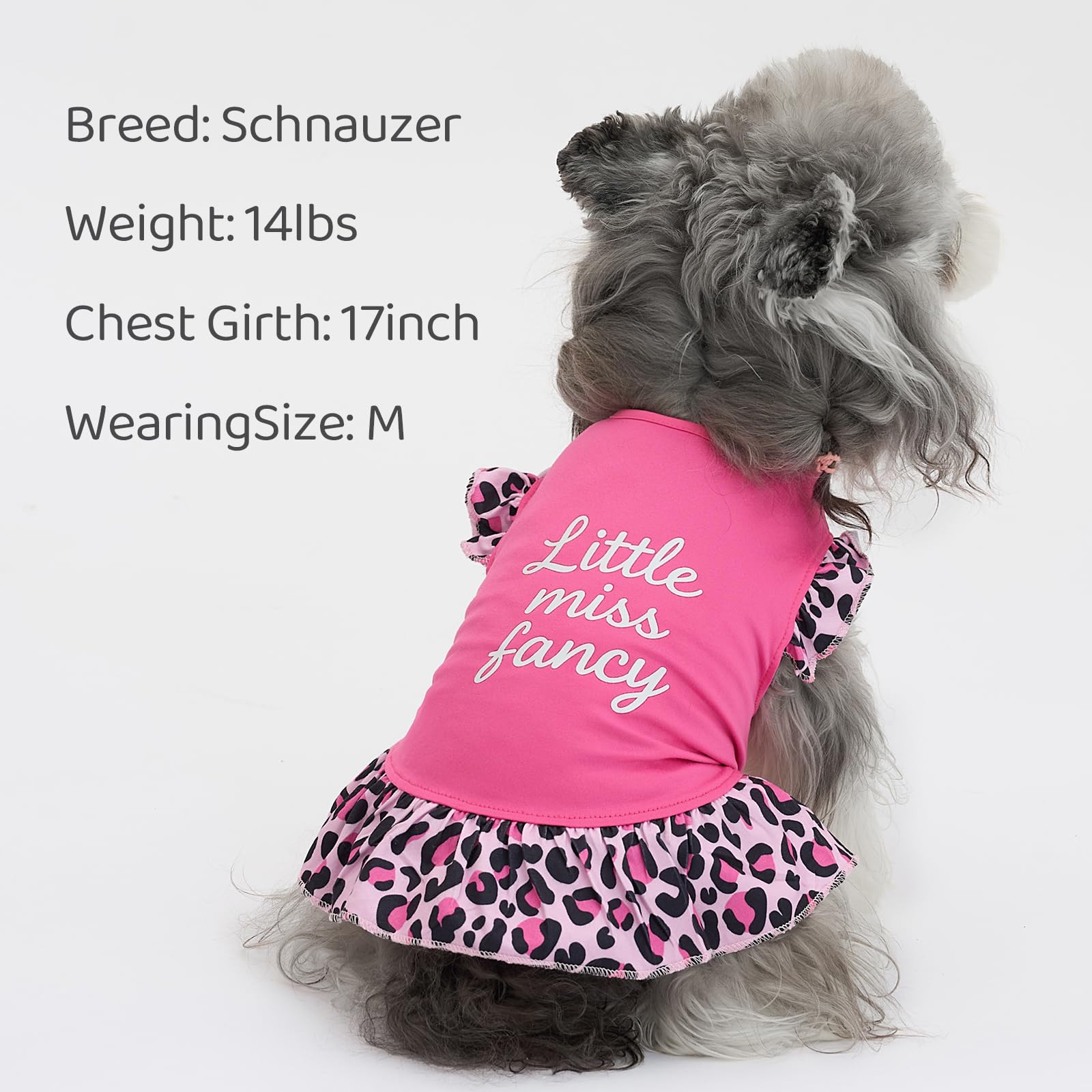 XPUDAC robe chien petit couleurs vives, motif attractif et confort pour l'été.