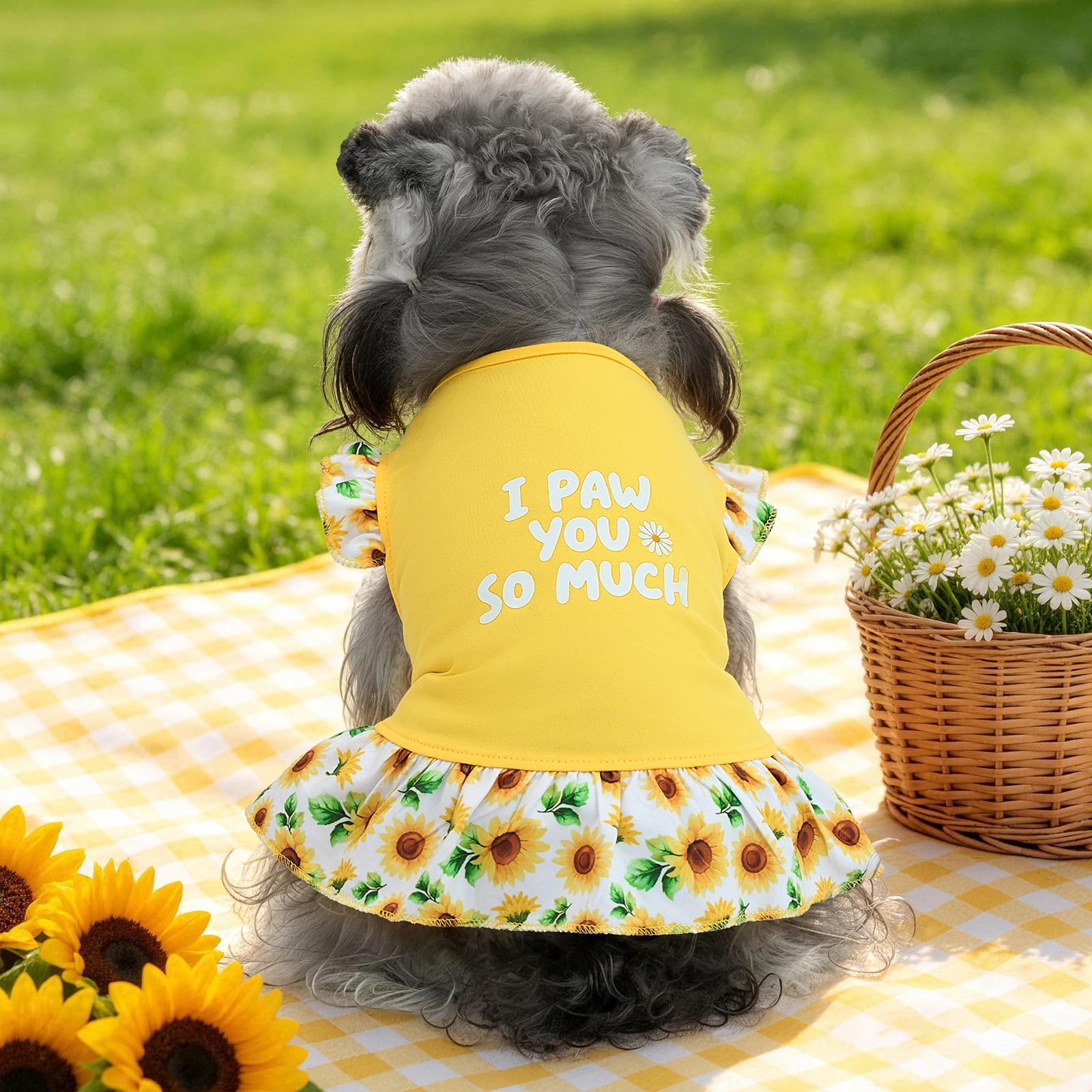 XPUDAC robe chien petit séance photo, parfaite pour capturer des moments tendres.