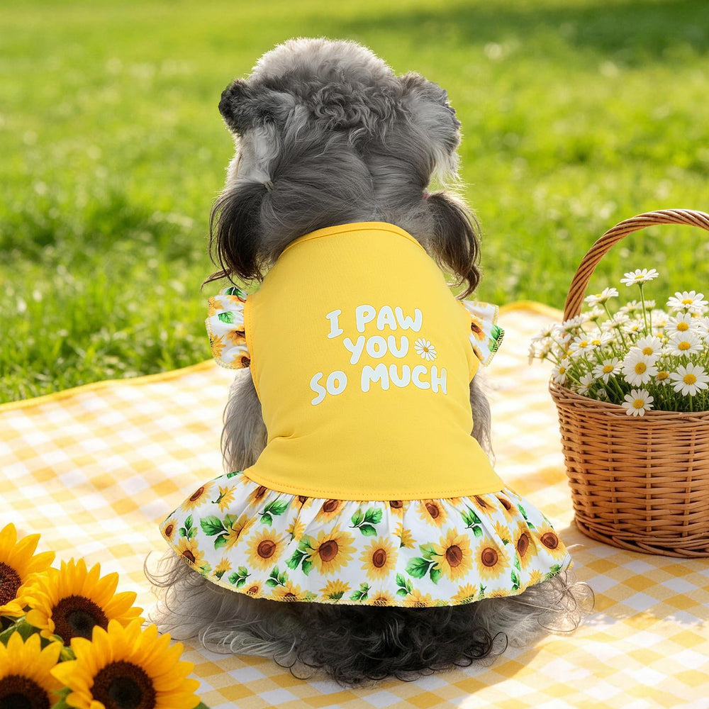XPUDAC robe chien petit séance photo, parfaite pour capturer des moments tendres.
