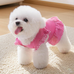 XPUDAC robe petit chat rose ange, confort et style pour votre félin.
