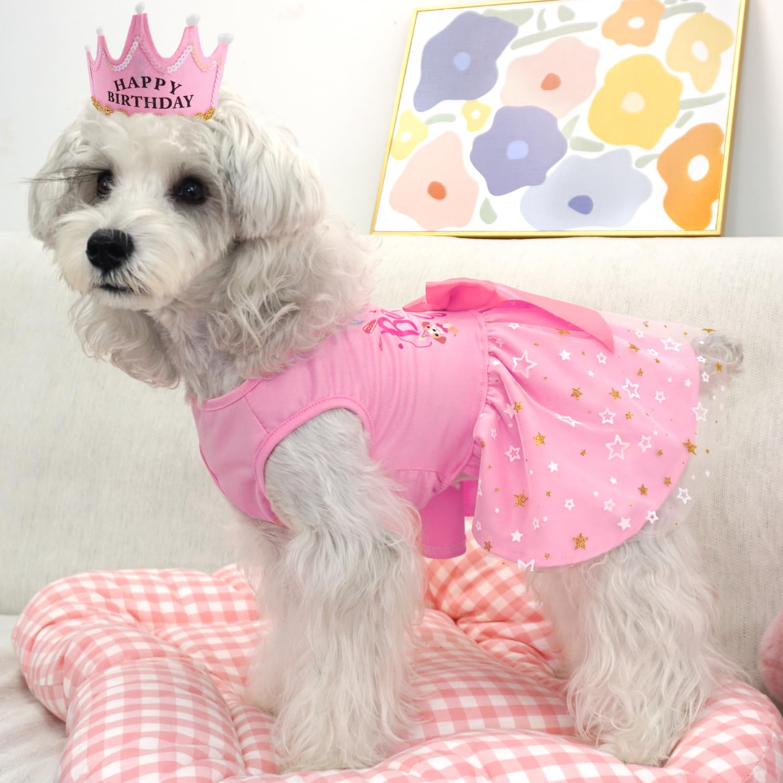 Robe XPUDAC tulle avec étoiles pour chien: style féerique pour fêtes et séances photo.