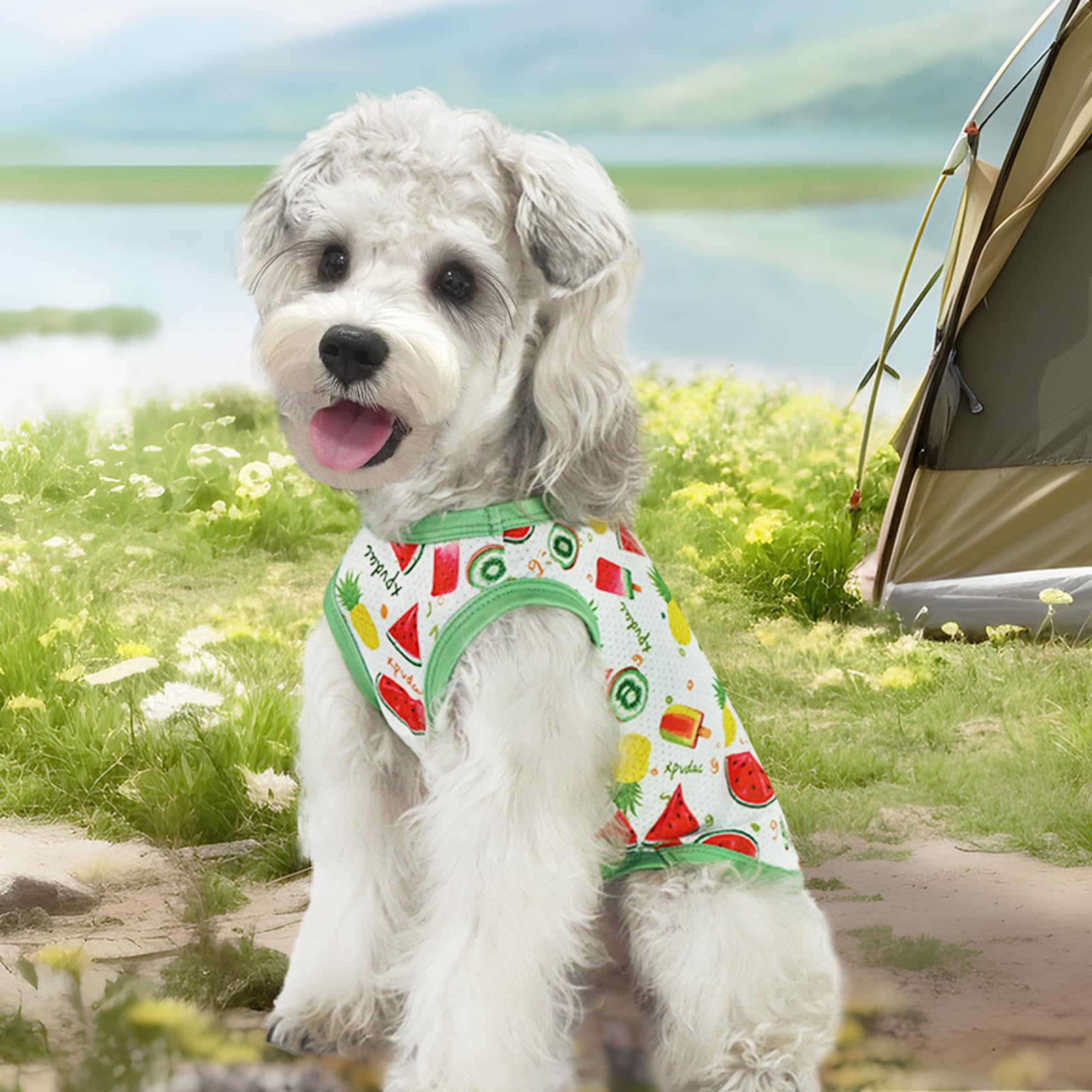 Chemise XPUDAC chien refroidissante motif melon pour été.