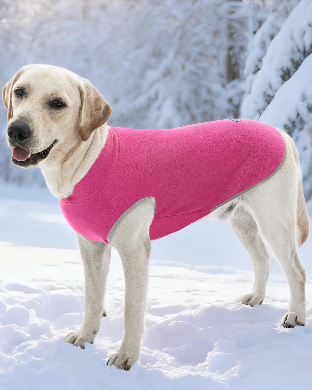 XPUDAC veste polaire vert brillant pour chien, visibilité et confort