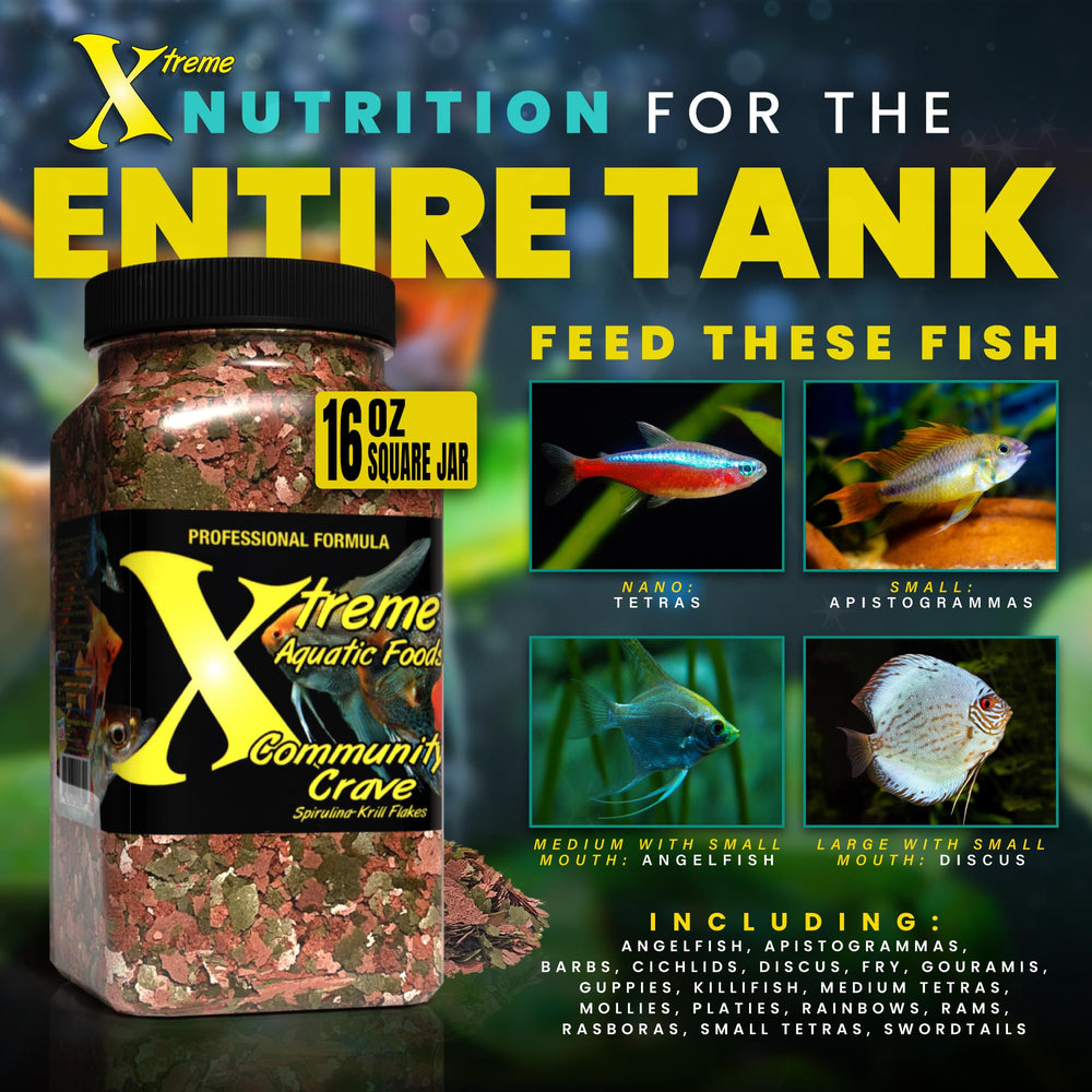 Flocons-super-aliments-spiruline Xtreme Aquatic Foods, protéines et minéraux essentiels.