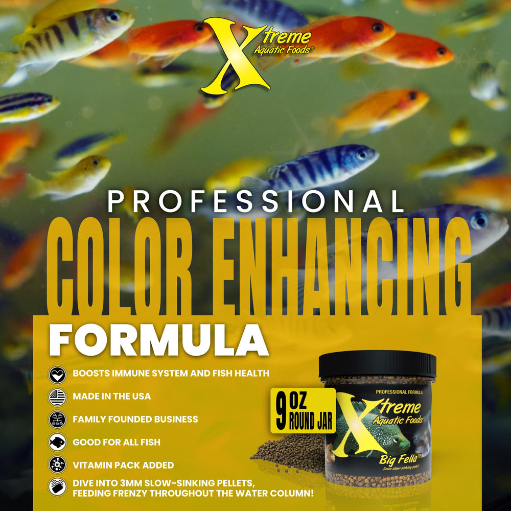 Xtreme Aquatic Foods Big Fella nutrition-efficace, contribue à la croissance des cichlidés.