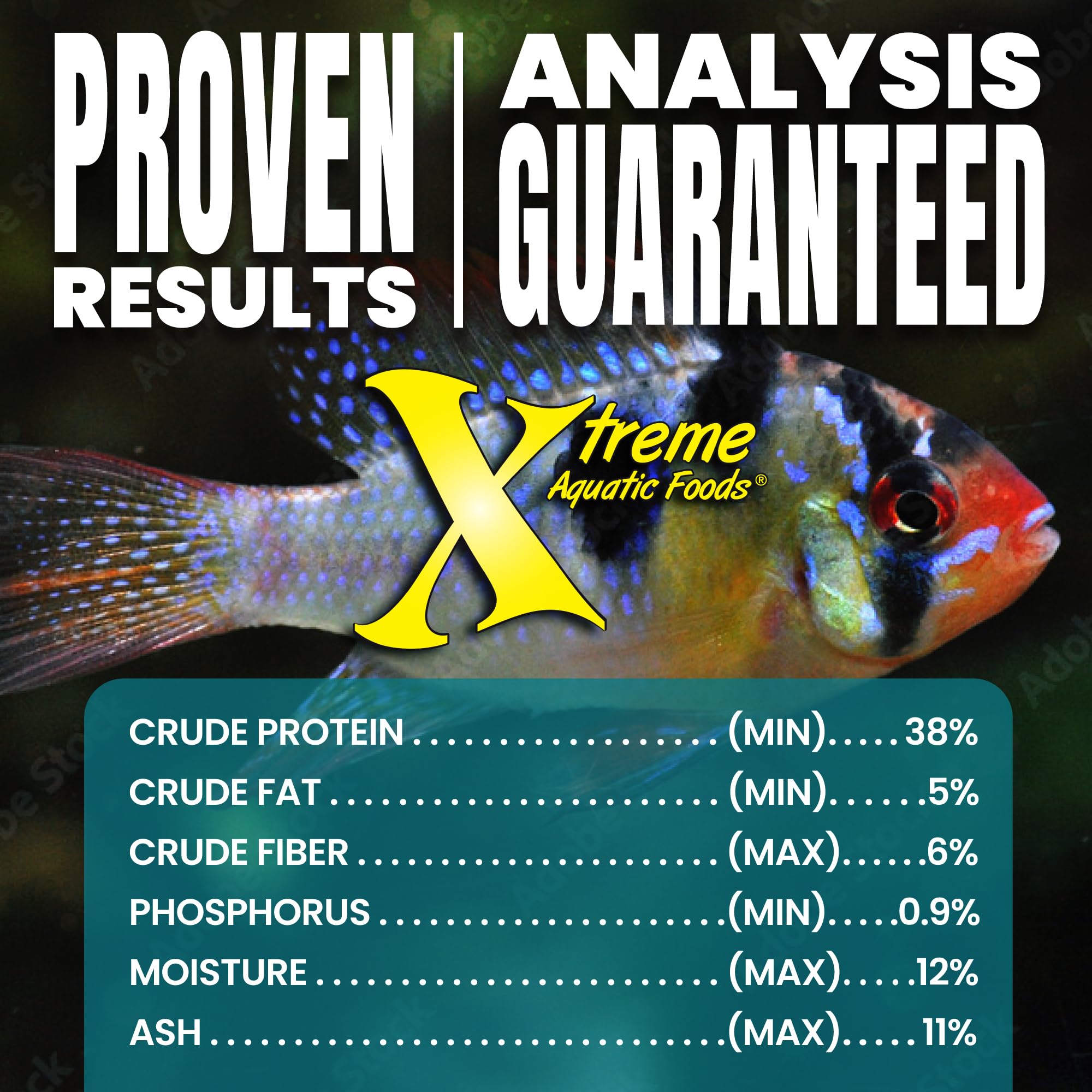 Xtreme Aquatic Foods améliore les couleurs et l’énergie des poissons grâce aux pellets Peewee.