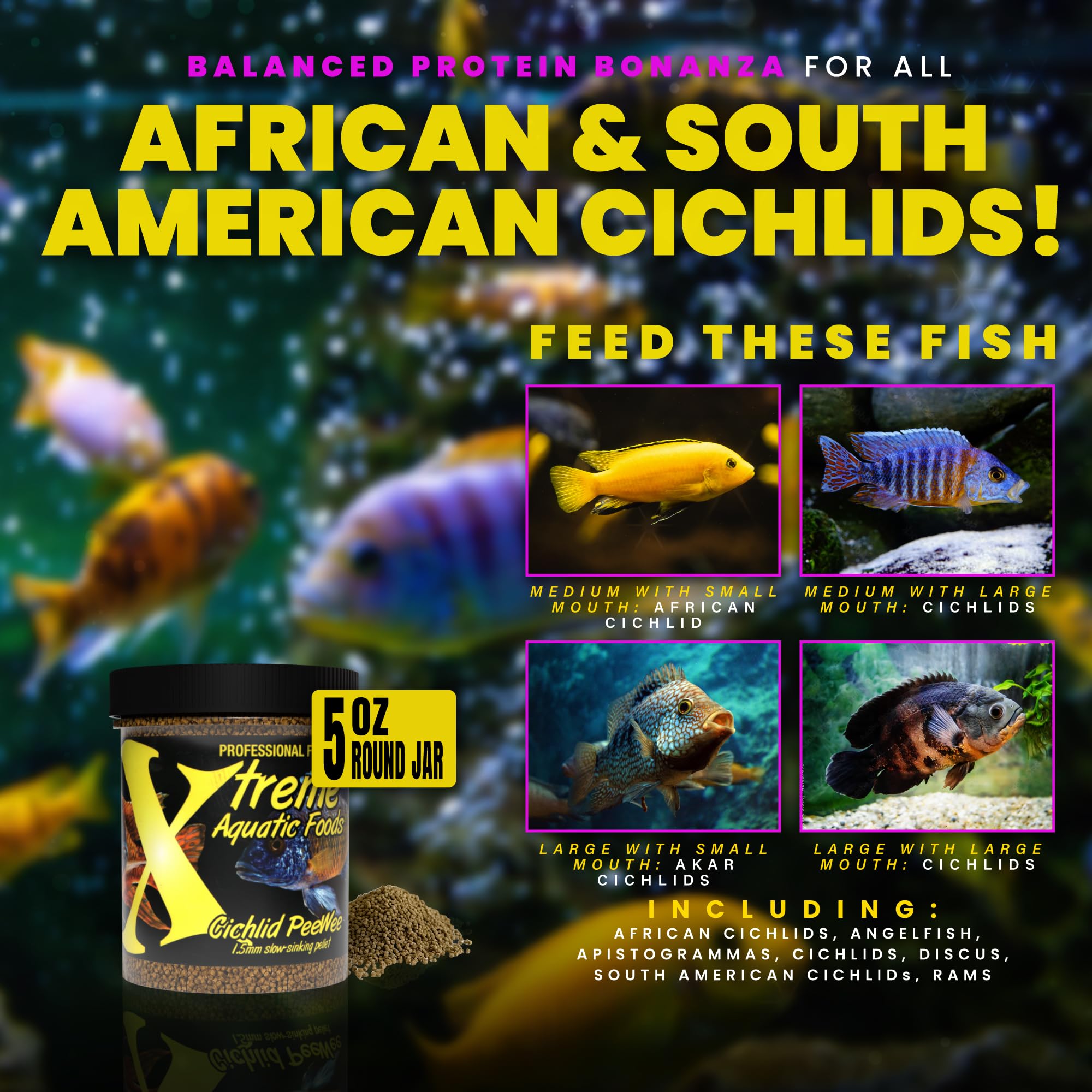Nourrissage des cichlides avec Peewee, Xtreme Aquatic Foods, format 1,5 mm.