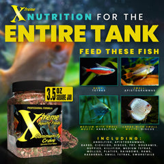 Xtreme Aquatic Foods – poissons-couleurs-vibrantes : couleurs éclatantes chez les poissons.