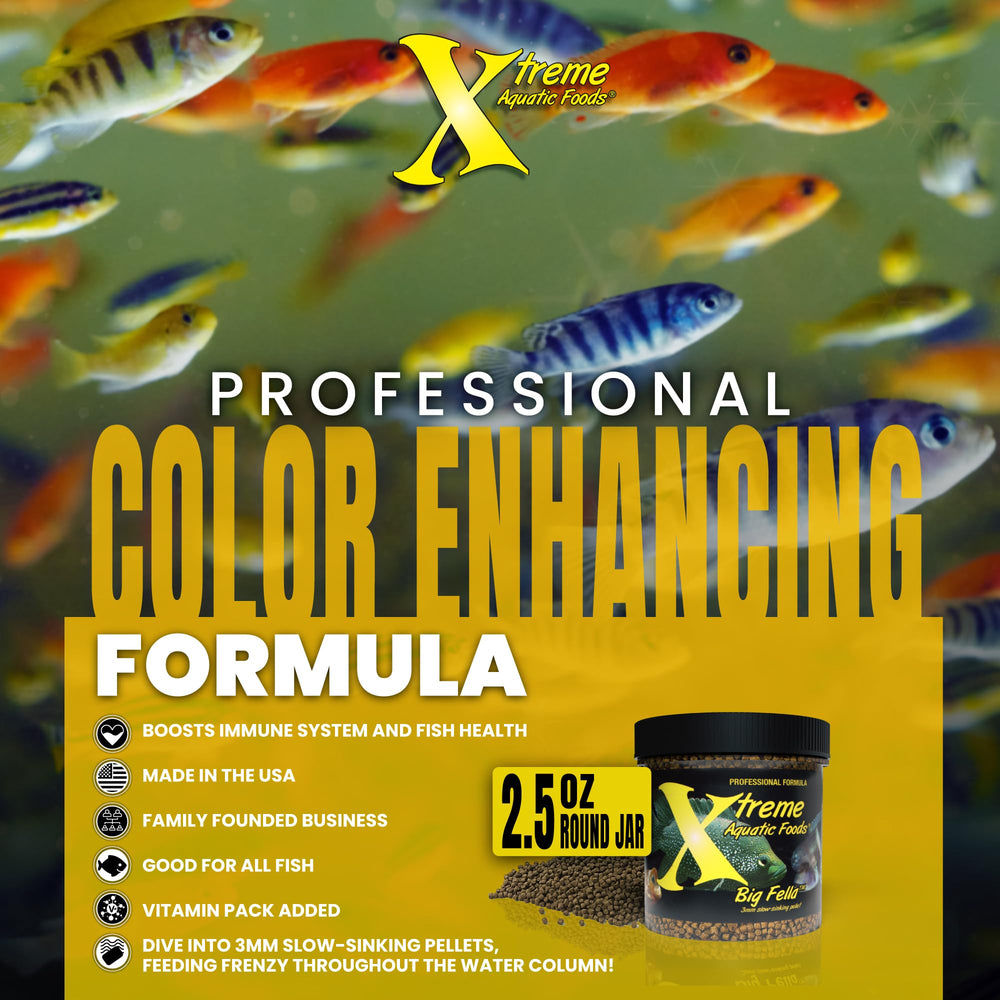 Xtreme Big Fella 3mm: spiruline et protéines enrichies.
