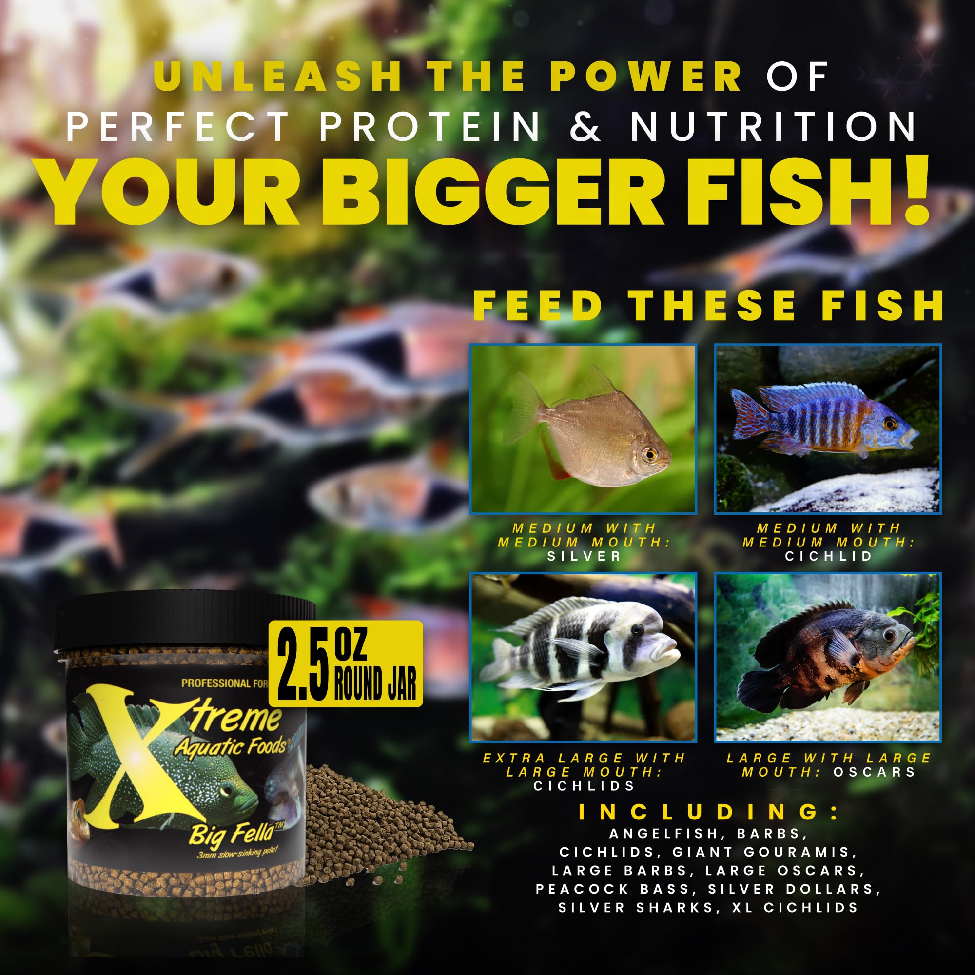 Xtreme Big Fella 3mm: fabrication aux États‑Unis et absence d’hormones.