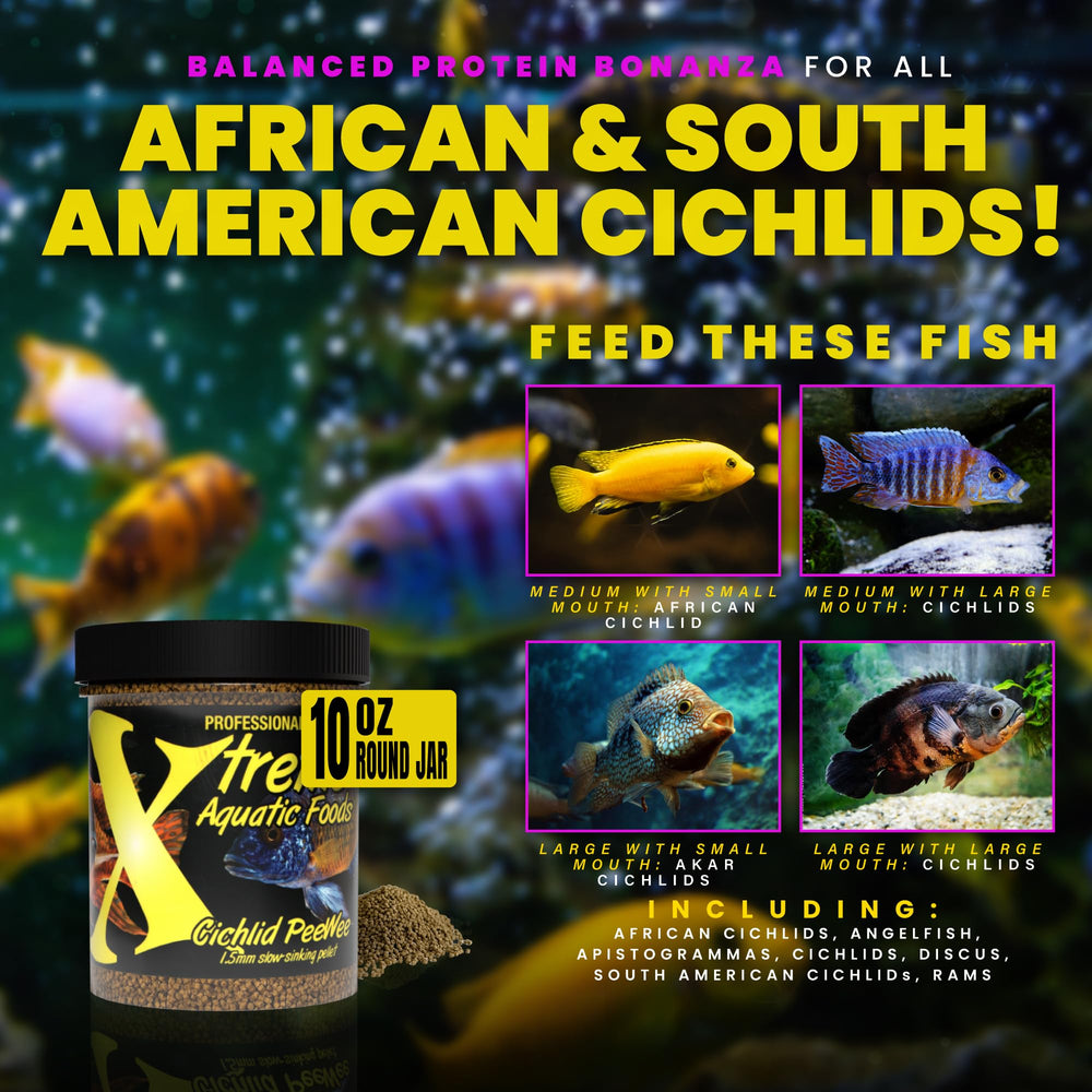 Xtreme Cichlid PeeWee Pellets, protéine complète soutenant la croissance des cichlidés