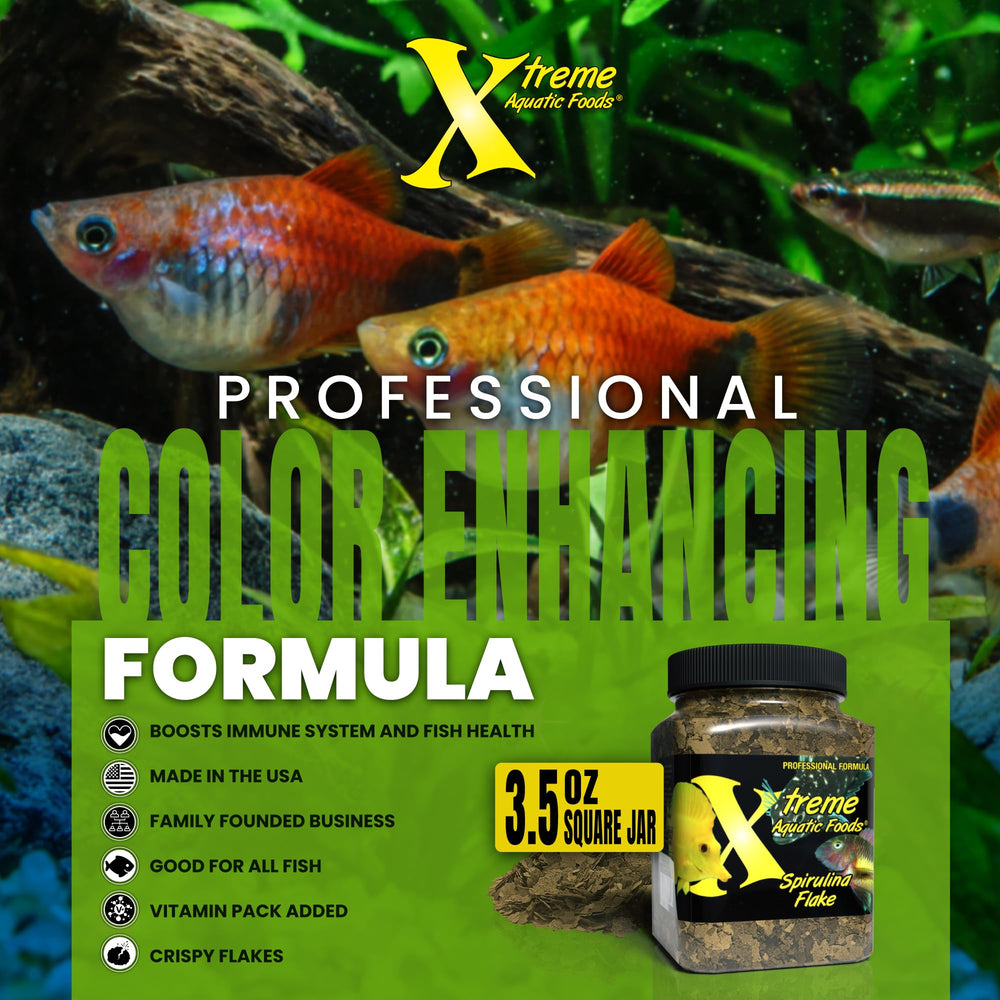 Flocons Spiruline Xtreme: sans OGM, option nutritionnelle responsable.