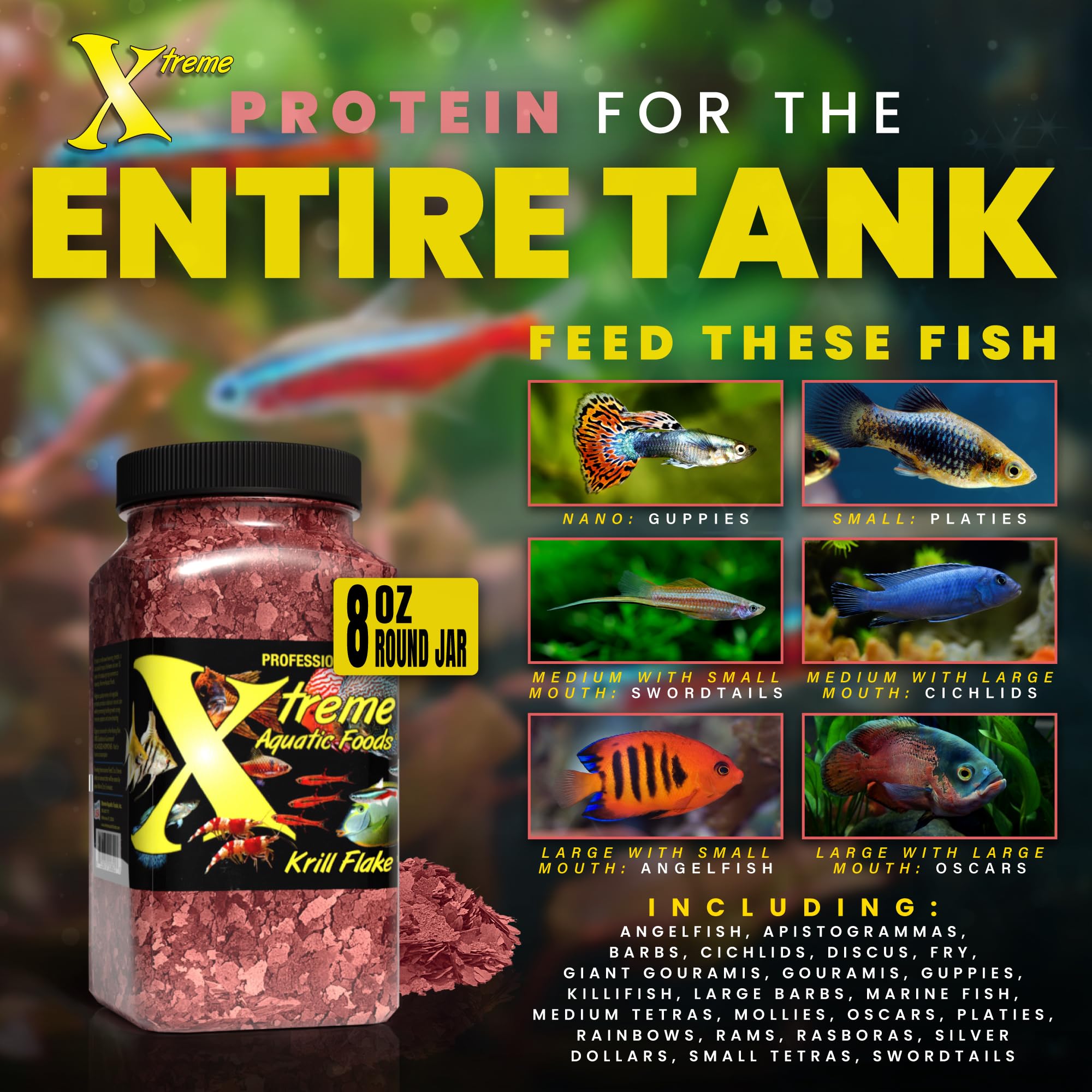 Xtreme Krill Flakes sur une assiette, poissons affichent couleur vive grâce aux ingrédients.