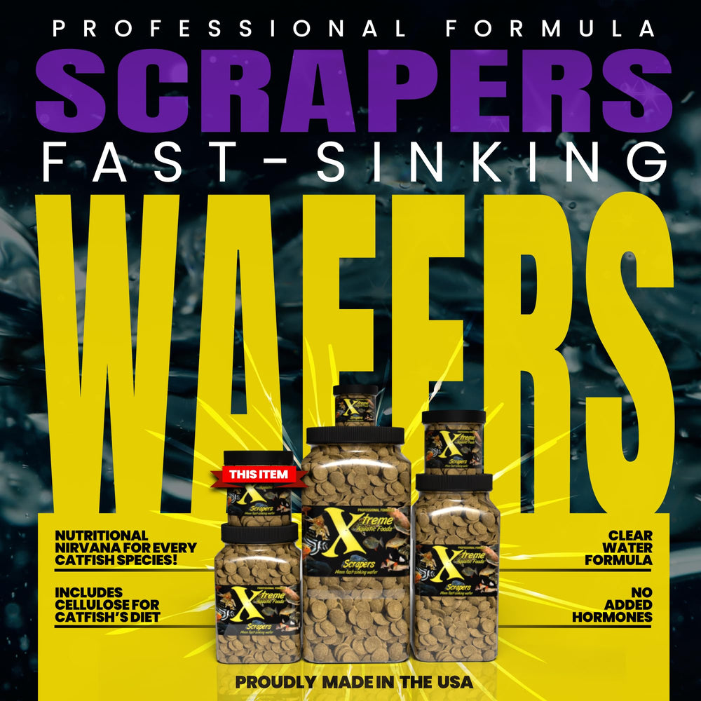 Xtreme Scrapers Wafers, cellulose naturelle, texture végétale adaptée à l'alimentation du fond.