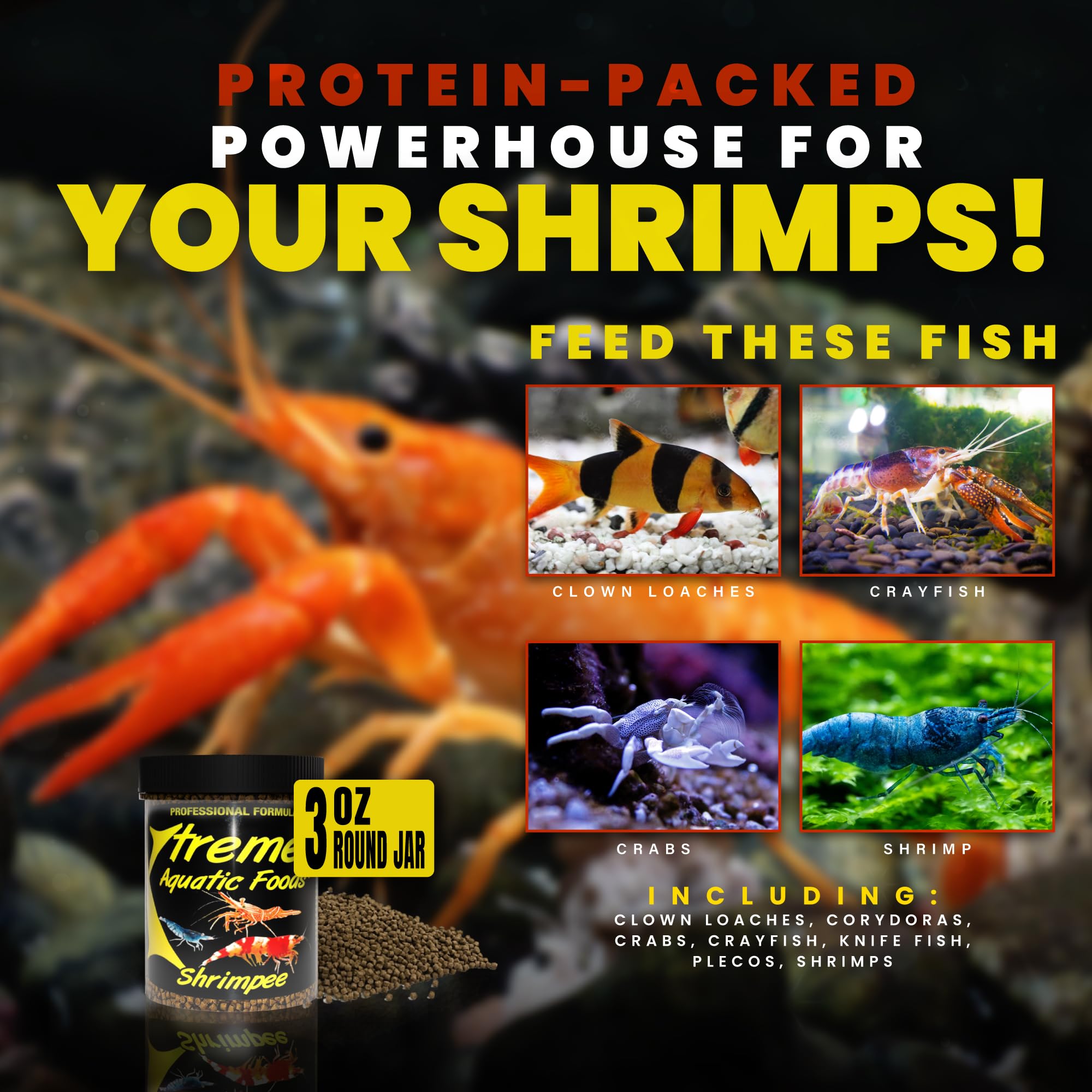 Formule vitamine haute Xtreme Shrimpee pour énergie et vitalité