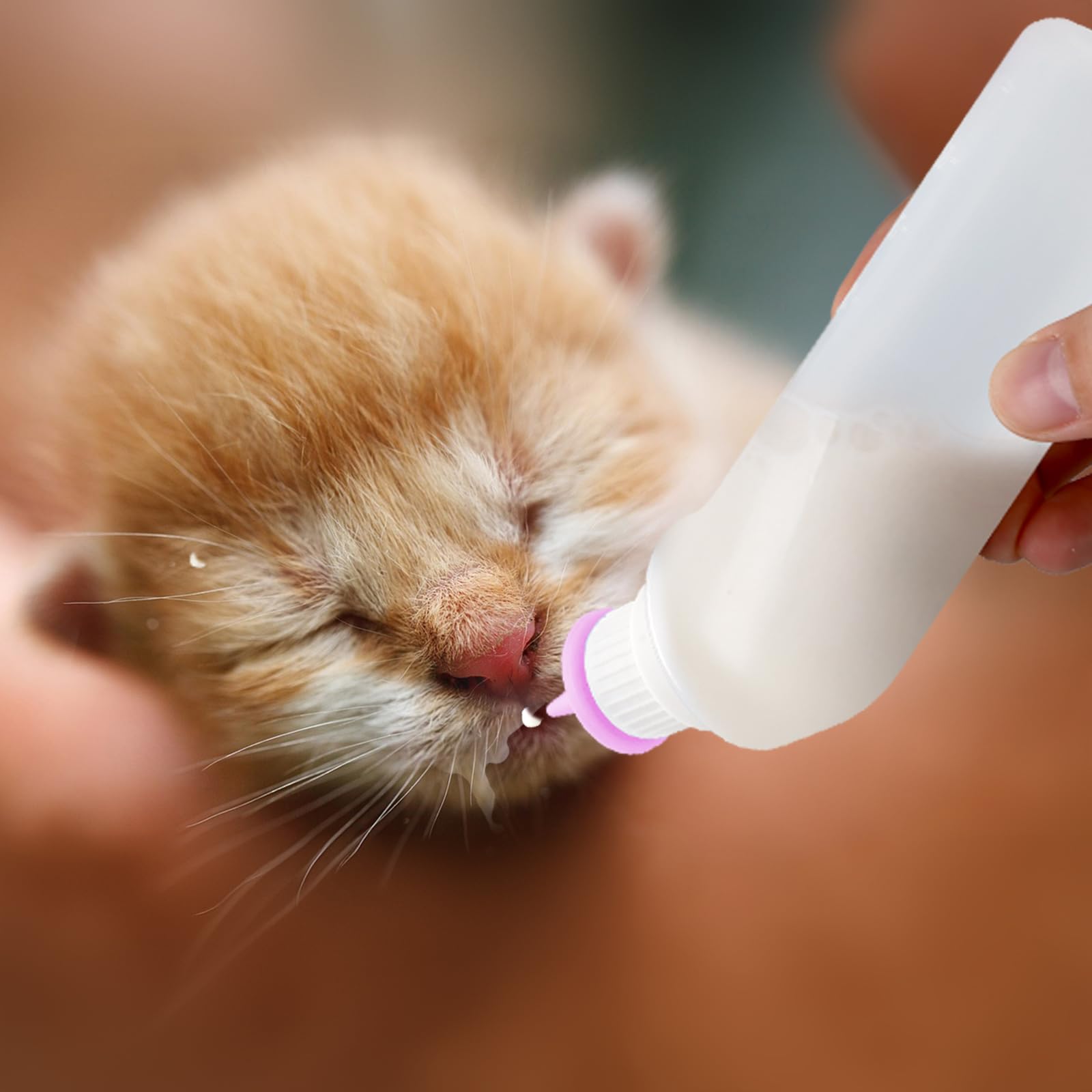 Xuandea biberon rose, idéal pour chatons et petits animaux en croissance.