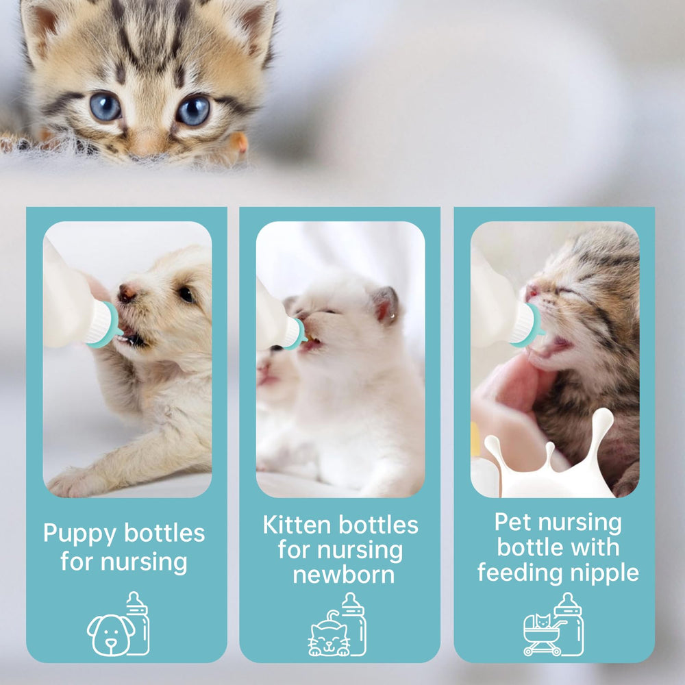 Tasse de mesure Xuandea, contrôle précis des portions pour jeunes animaux