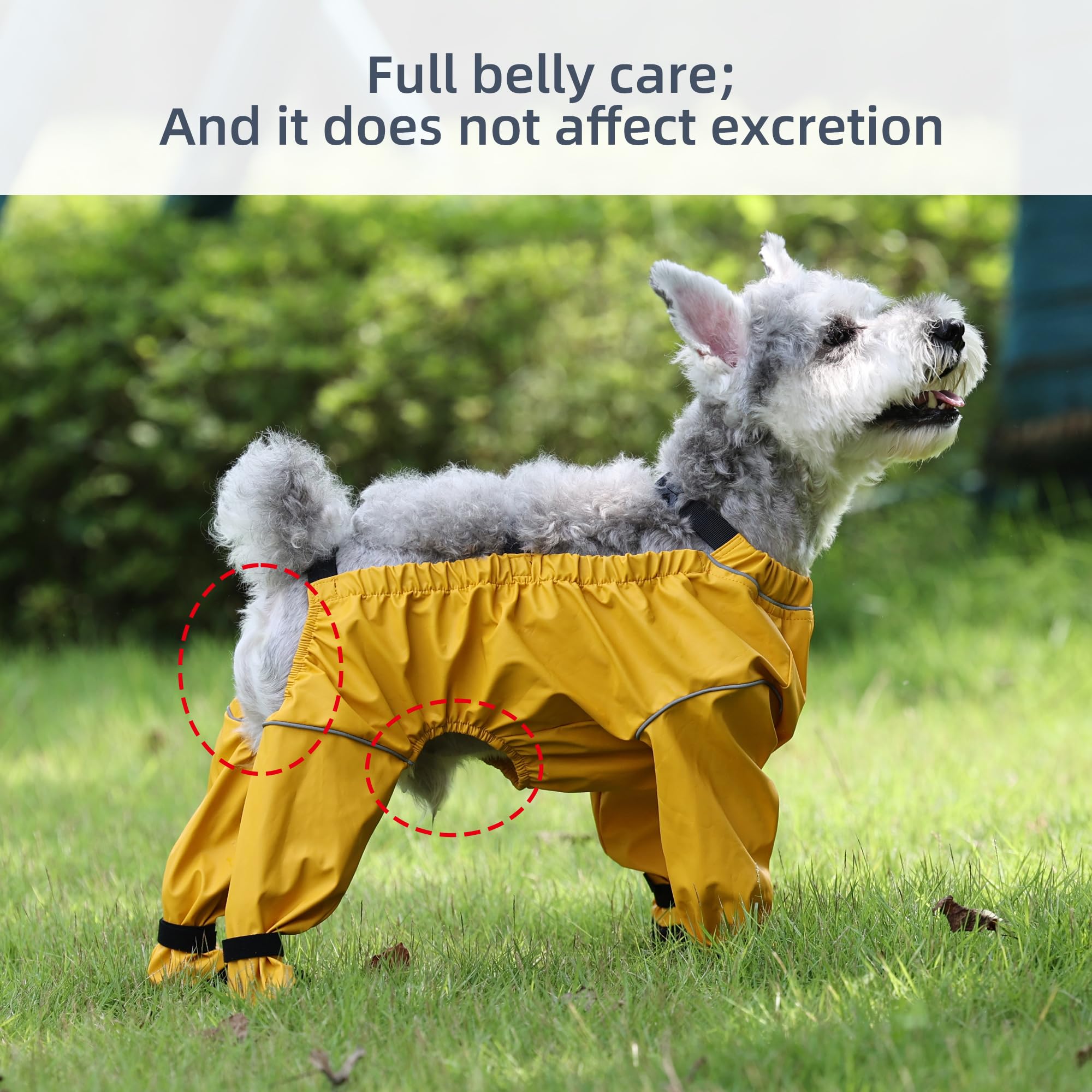 XUANNIAO bottes chien jaune XL tige impermeable en polyester pour pluie légère