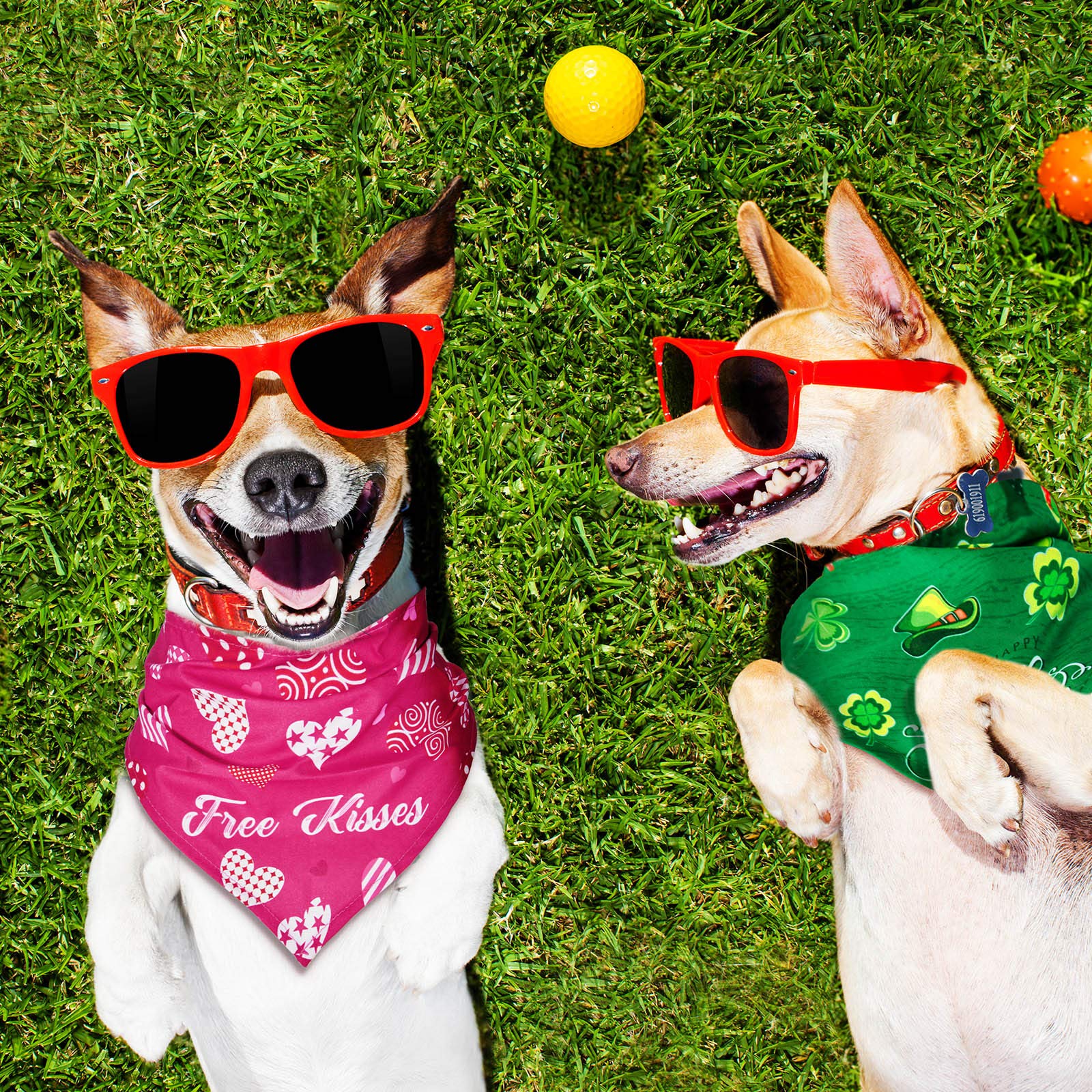 Xuniea bandana fête hantée chien, look ludique pour soirée