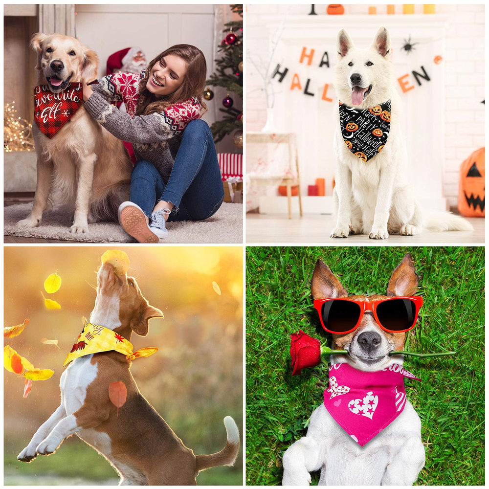 Bandana Xuniea Halloween – style amusant et durable pour parties.