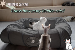 XxingSheep cat tunnel XL — quatre ouvertures facilitant l'accès