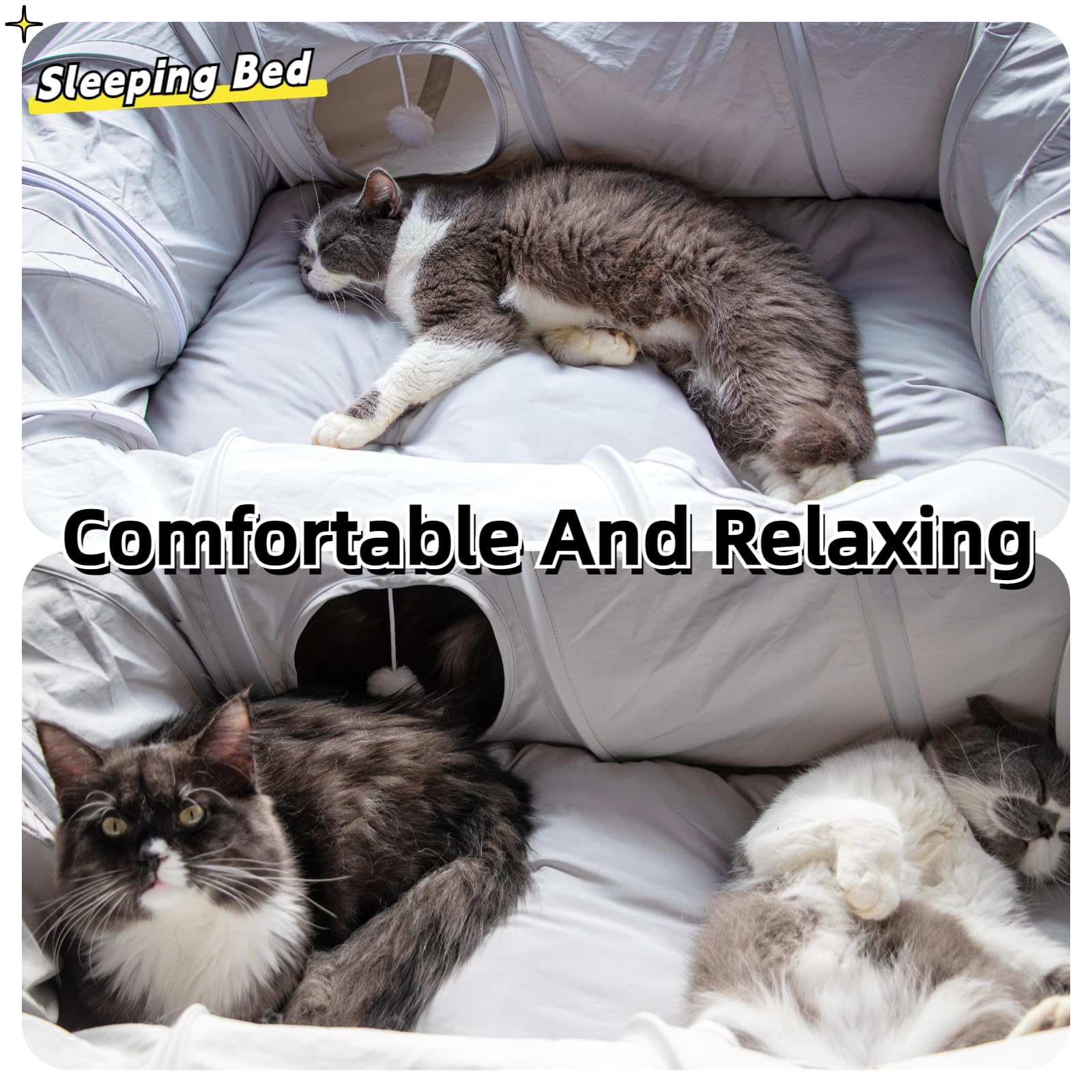 Caverne chat anneau centre avec matelas doux et repos