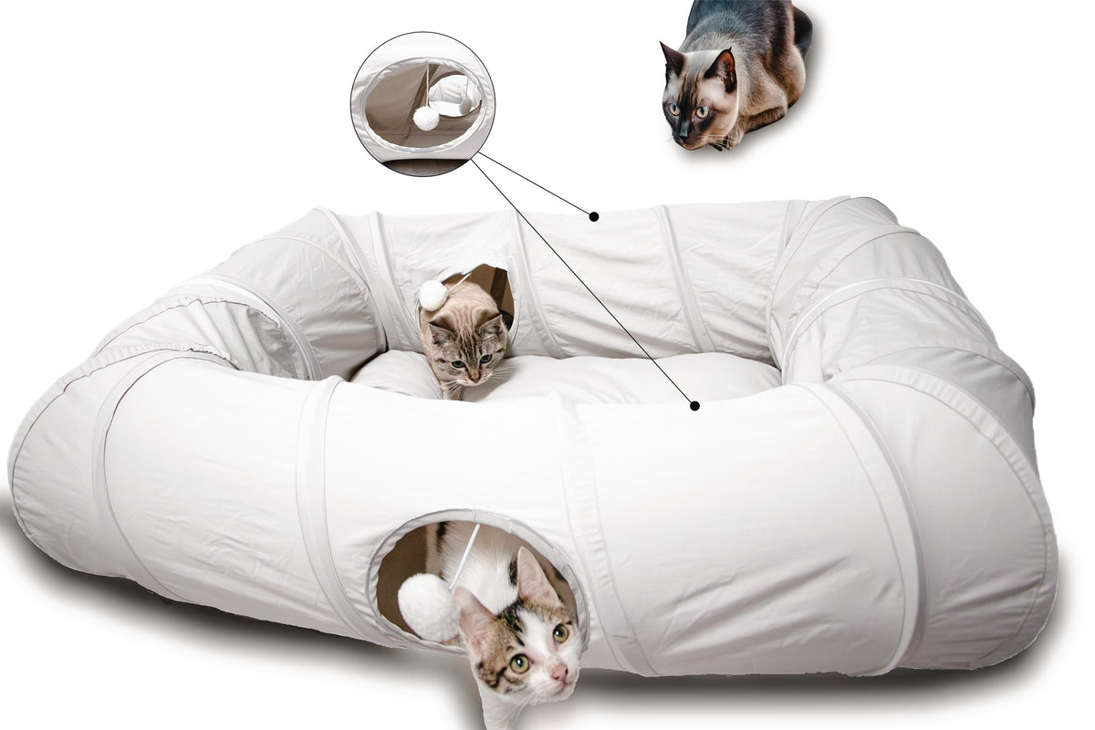 XxingSheep Tunnel XL pour chats avec quatre ouvertures offrant espace de jeu