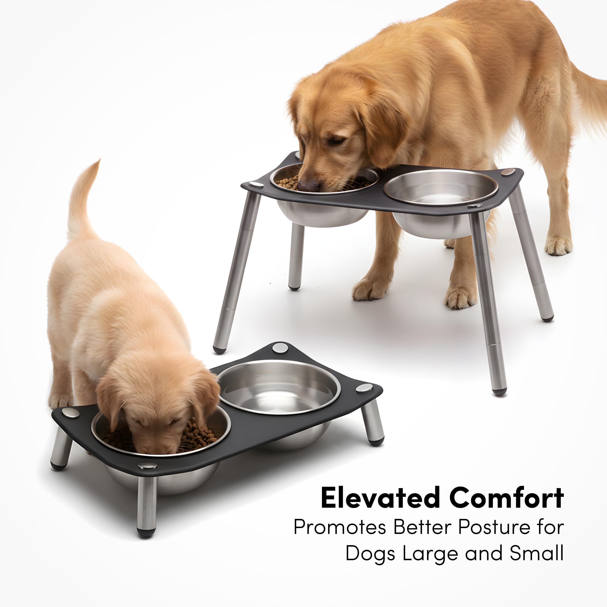 Gamme xympo surélevée – hauteur 2, ajuste facilement la taille de votre chien.