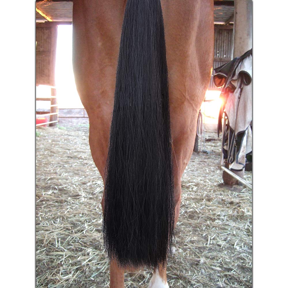 Y.J TAILS extensions: queue noire, poids 3/8 lb pour une présence équilibrée.