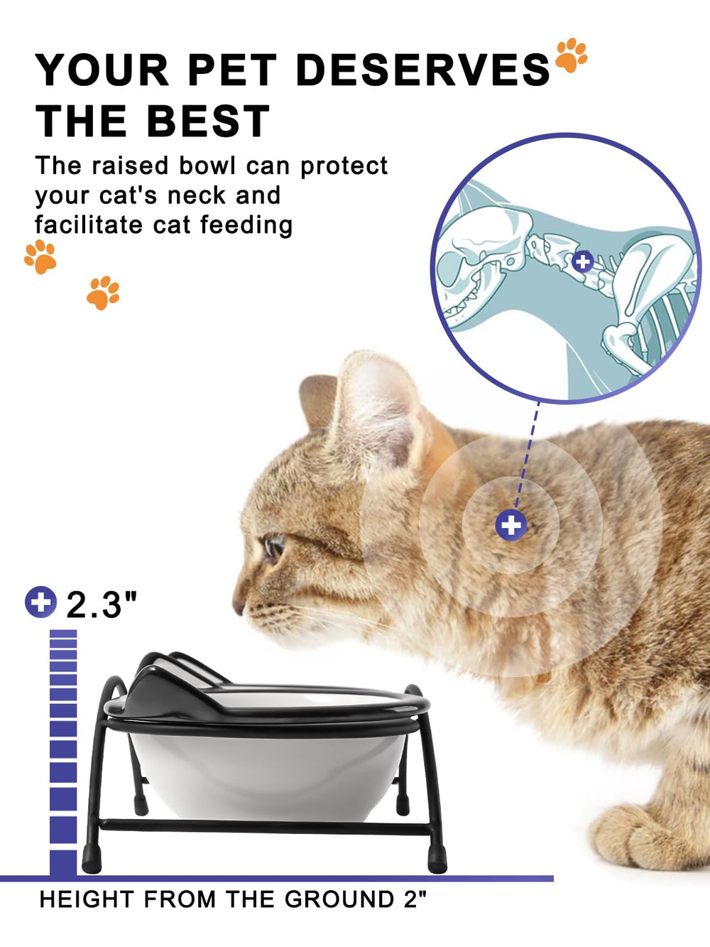 Bol en céramique pour eau chat, facile à nettoyer et sûr.