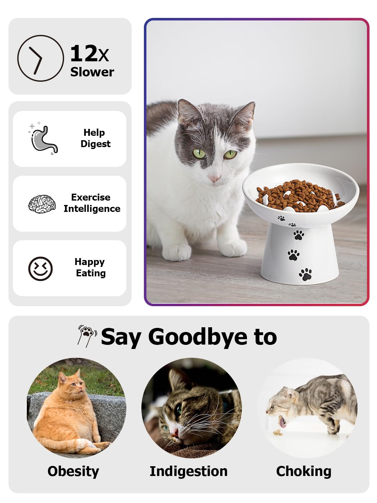 Design poisson Y YHY pour stimuler l’intérêt du chat lors des repas.