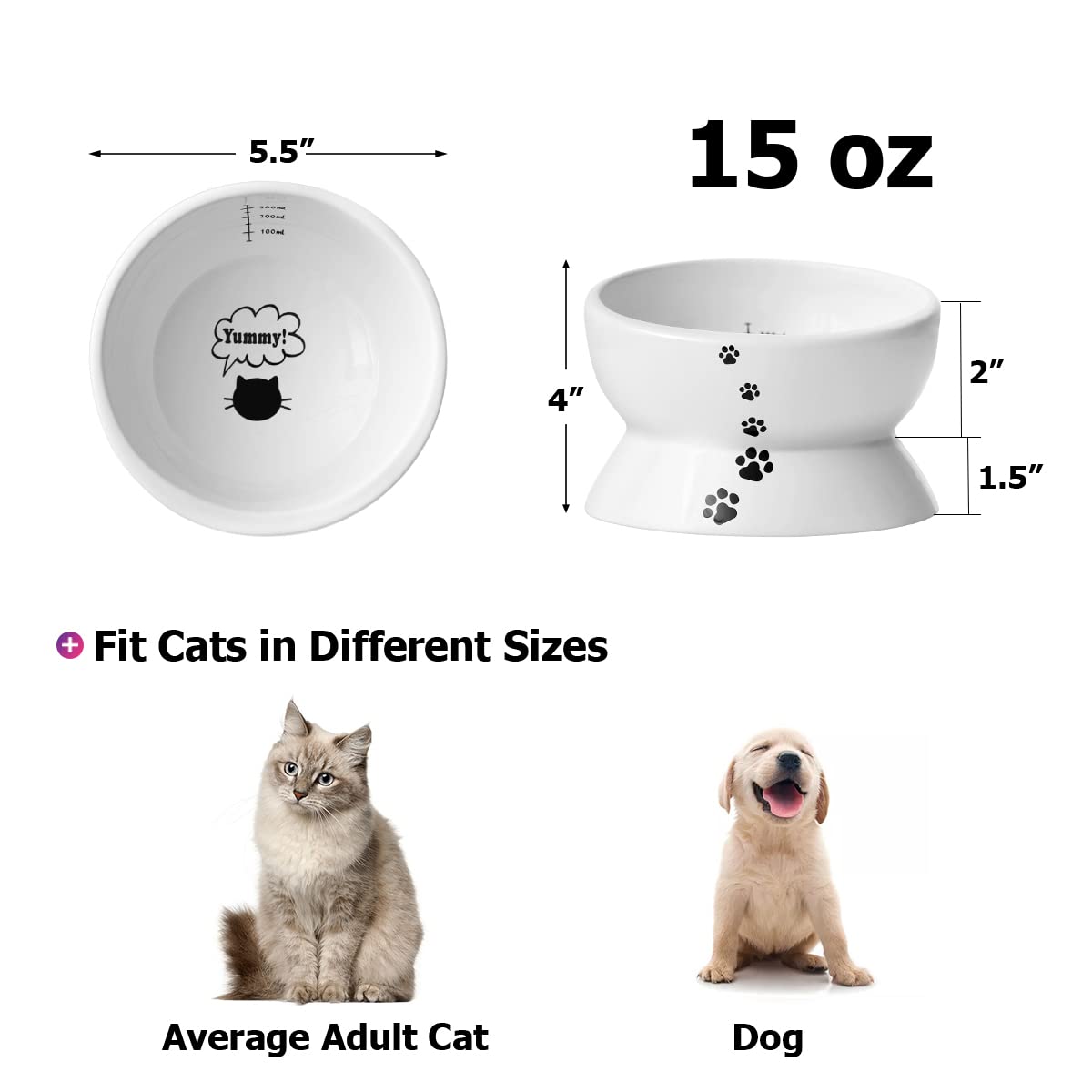 Bol Y YHY incline pour chats, réduction potentielle des déversements